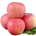 red gala red apple price chinese gala apples red gala from China